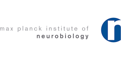 Logo of our client: Max Planck Institute of Neurobiology